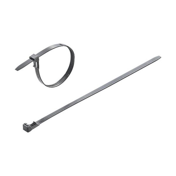 日本ワイドミュラー ワイドミュラー ケーブルタイ リピートタイプ 1059250000 1袋(100本) 365-4436（直送品）