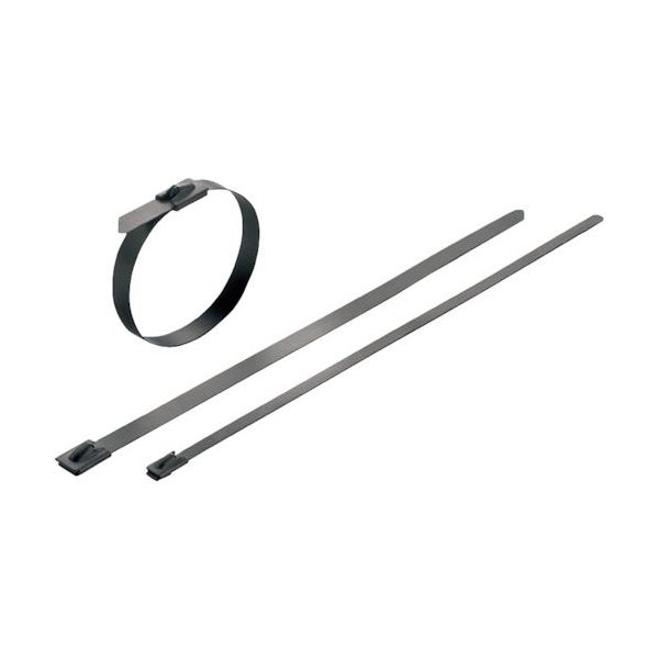 日本ワイドミュラー ワイドミュラー ケーブルタイ ポリエステルコーティングステンレスタイプ 1015290000 1袋(100本)（直送品）