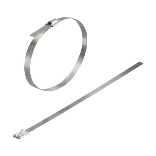 日本ワイドミュラー ワイドミュラー 【売切廃番】 ケーブルタイ ステンレスタイプ 1699920000 1袋(100本) 367-1954（直送品）