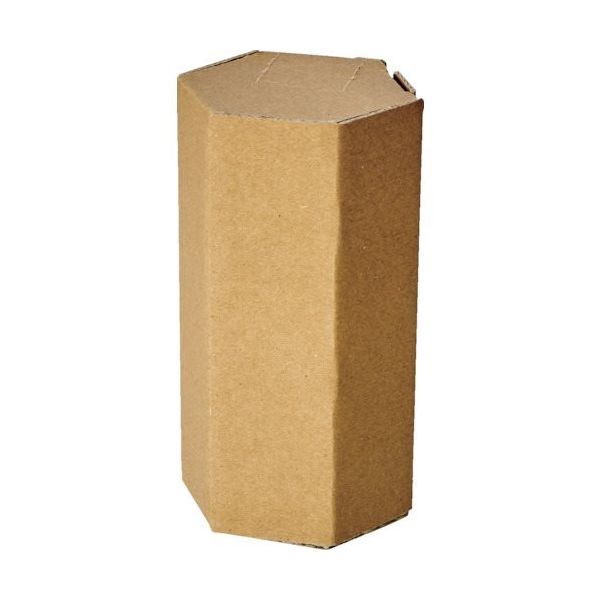 トラスコ中山 TRUSCO ヘキサゴンパック 10本入り HEXAPACK 1パック(10個) 253-7433（直送品）