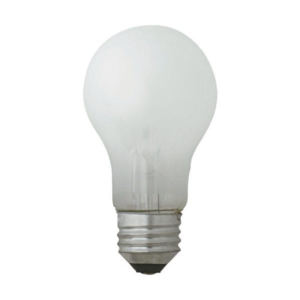 東京メタル工業 トーメ 白熱電球 LW100V54WTM 1個 369-8188（直送品）