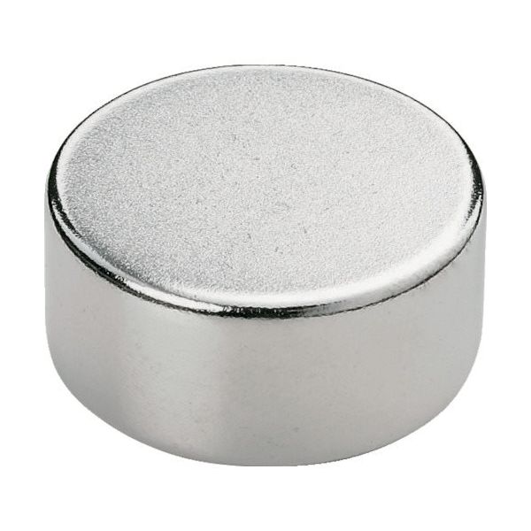 トラスコ中山 TRUSCO ネオジム磁石 丸形 外径12mmX厚み8mm 1個入 TN12-8R-1P 1個 257-0906（直送品）