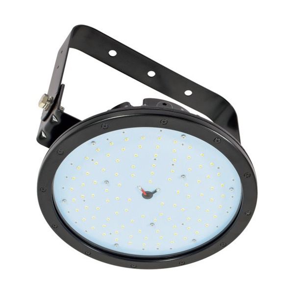 日動工業 日動 フリーズディスク80W L80FZB-P-H110-50K 1台 365-2644（直送品）