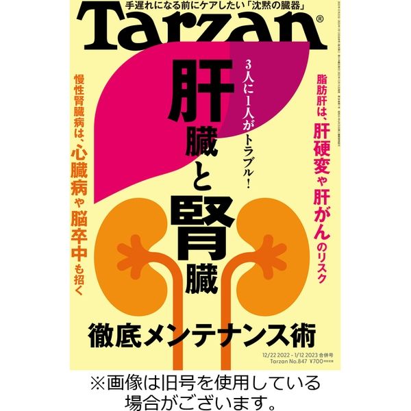 Tarzan（ターザン） 2023/05/25発売号から1年(23冊)（直送品） - アスクル