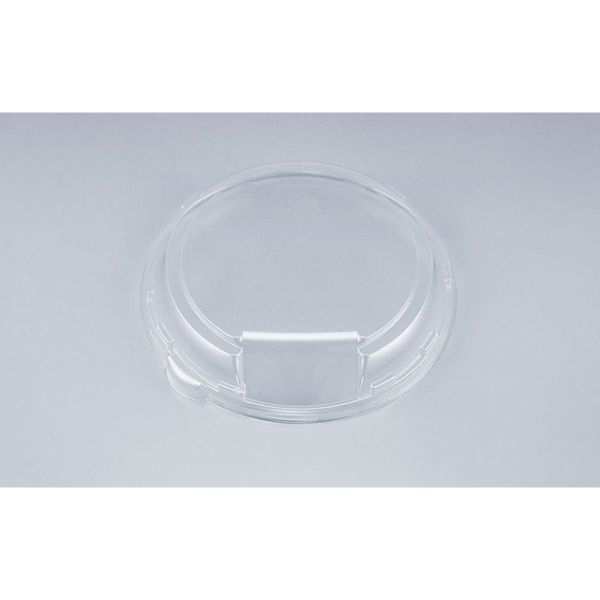 オードブル容器 SF新プレート丸20 シーピー化成