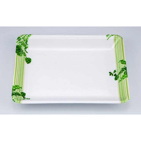 トレー　新LR21-30クレソン　600枚(100枚×6) 0551821302710　シーピー化成（直送品）