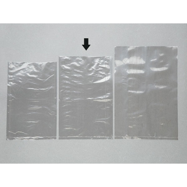 大阪ポリエチレン 無地規格PE袋 No.10 1000枚(100枚×10) 1406 1ケース(1000枚入(100枚×10袋))（直送品）