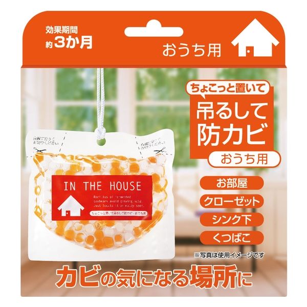 ビッグバイオ ちょこっと置いて 吊るして防カビ おうち用