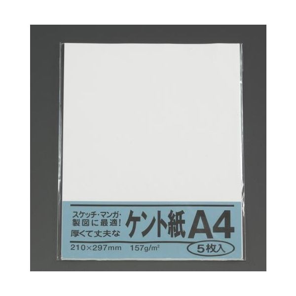 エスコ A4判 ケント紙(5枚) EA762GB-121 1セット(100枚:5枚×20袋)（直送品）