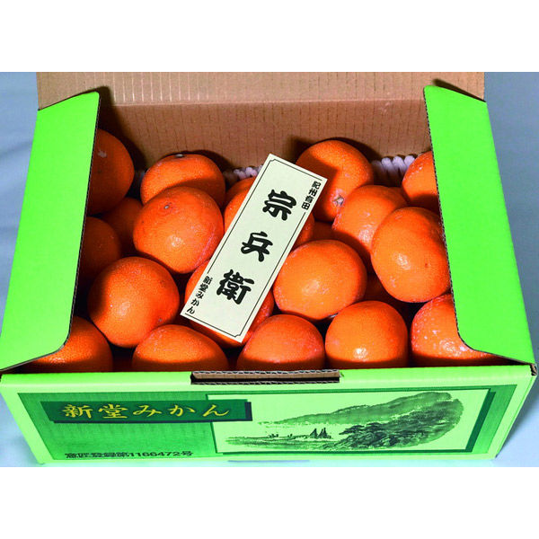 定松 【お歳暮ギフト・熨斗付き】定松 宗兵衛みかん (2.5kg) 988558 1