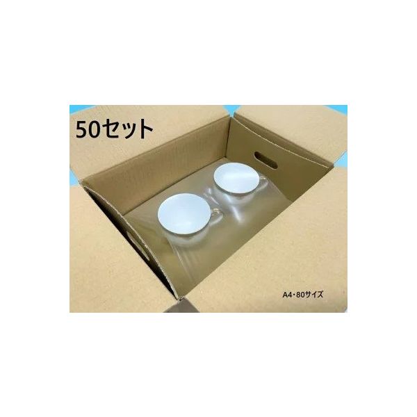 酒井化学工業 ミナフィット A4・80サイズ 50セット 外箱付 1217215 50S 1セット（直送品）
