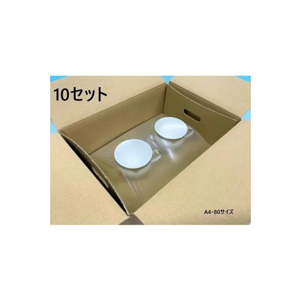 酒井化学工業 ミナフィット A4・80サイズ 外箱付 10セット 1217215 10S 1セット(5セット)（直送品）