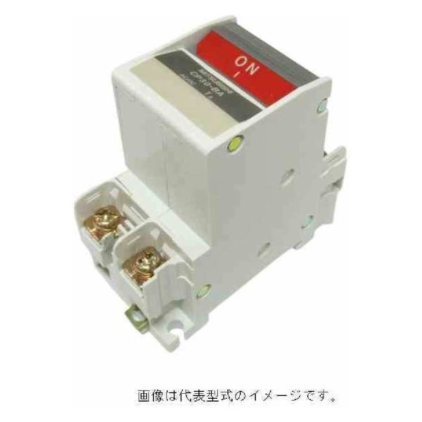 三菱電機 機器用遮断器 サーキットプロテクタ CP30-BA 2P 1-M 10A A 1個（直送品）