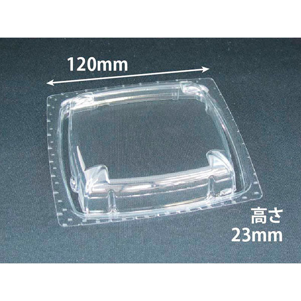 透明サラダ容器 バイオ ツブ12 OC　900枚(50枚×18) PBPR058　リスパック（直送品）