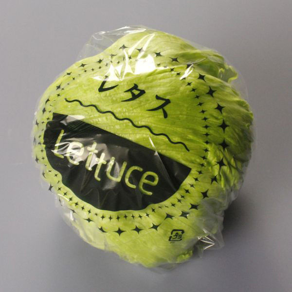 青果用袋 レタス規格袋OPP15# 450角 レタス ポス無 5000枚(1000枚×5) 51501（直送品）