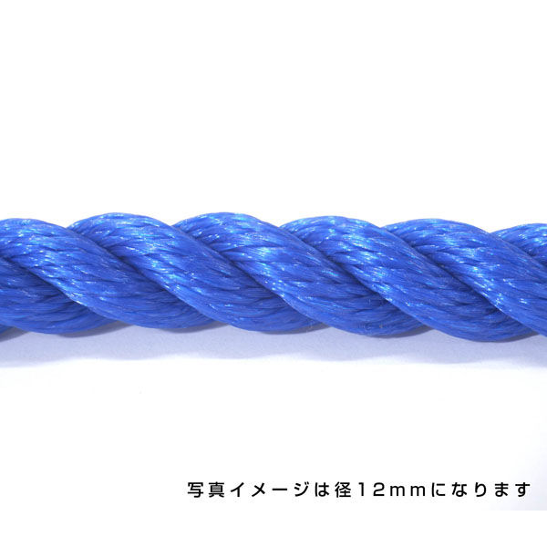 伊藤製鋼 ポリエチレンロープ　青　６ｍｍ　２００ｍ巻 6300040549 1巻（直送品）