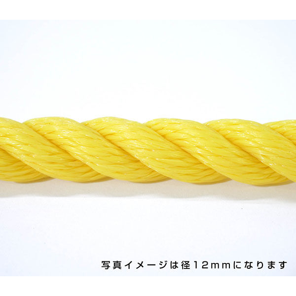 伊藤製鋼 ポリエチレンロープ　黄　５ｍｍ　１００ｍ巻 6300040572 1巻（直送品）