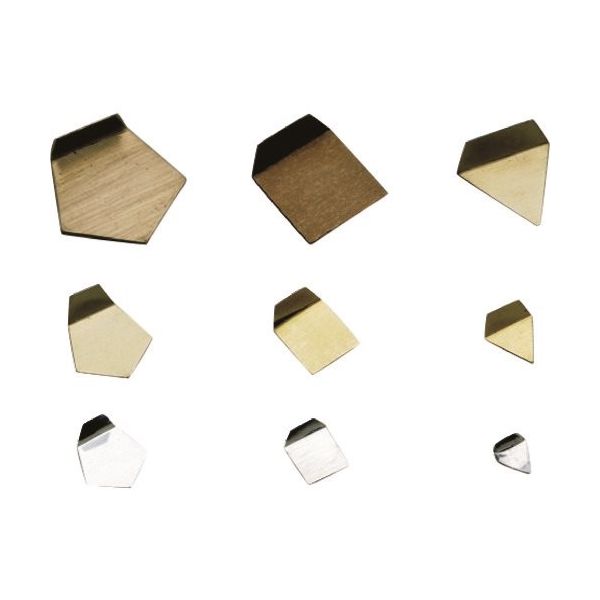 ViBRA E2PSOー500M:OIML型板状分銅 小質量 500mg E2級 JCSS校正付 E2PSO-500M 1個（直送品）