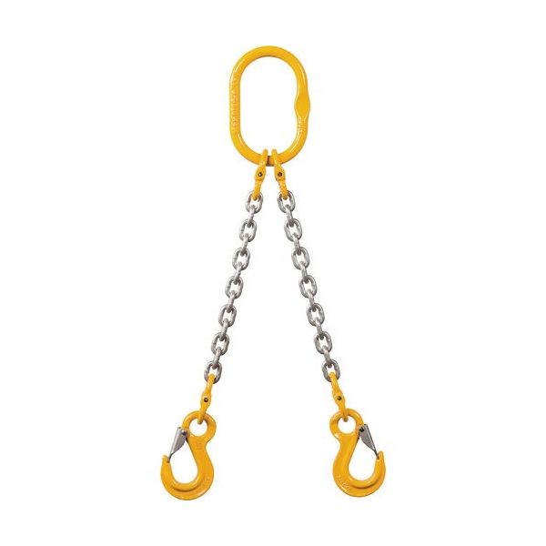 象印チエンブロック 象印 チェーンスリング100(アイタイプ) ラッチ付き 使用荷重10.8t 2-MFF-YP-16 1本（直送品）