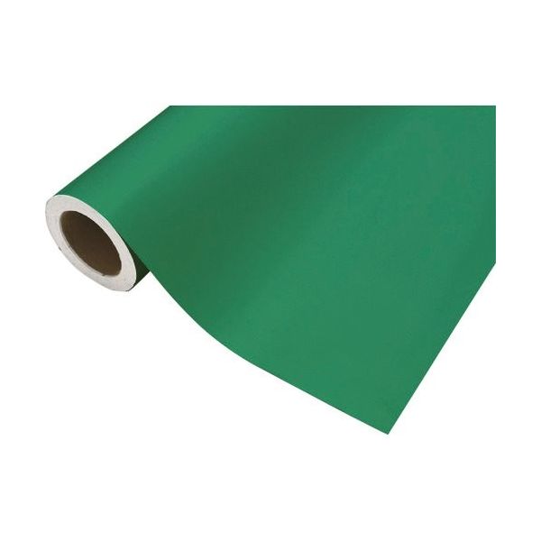 中川ケミカル カッティングシート439サマーグリーン450mm×12M CS045439R 1本 175-6065（直送品）