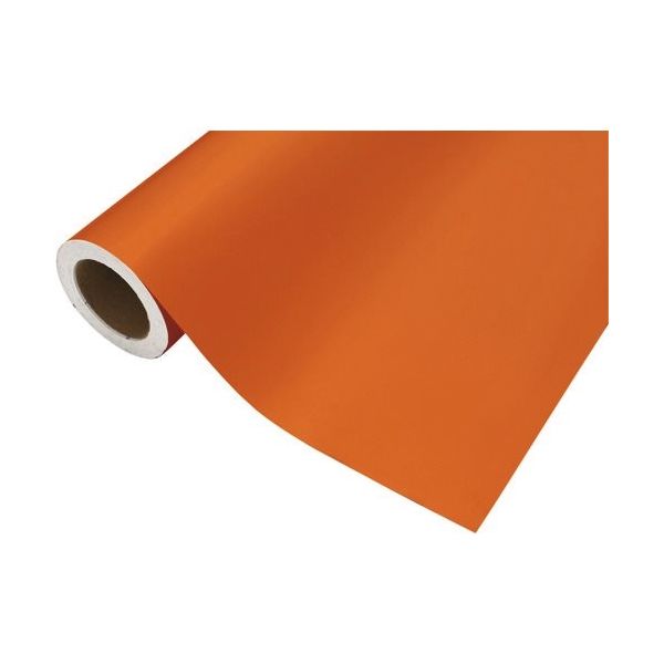 中川ケミカル カッティングシート258アプリコット450mm×12M CS045258R 1本 175-6130（直送品）