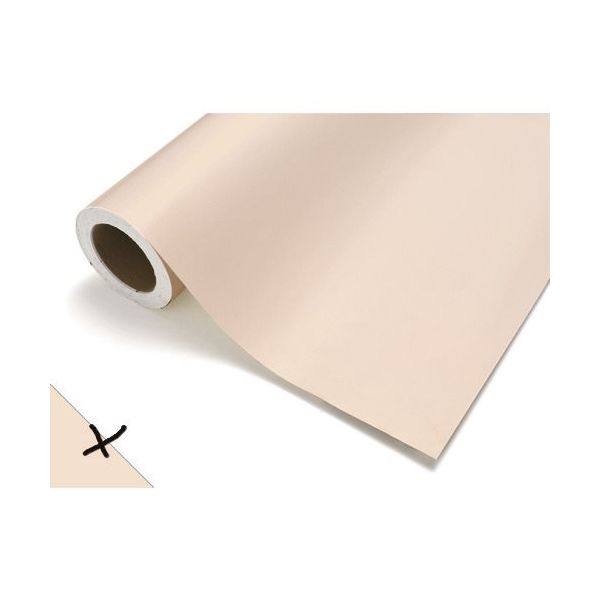 中川ケミカル カッティングシート282パウダービーン450mm×12M CS045282R 1本 424-9781（直送品）