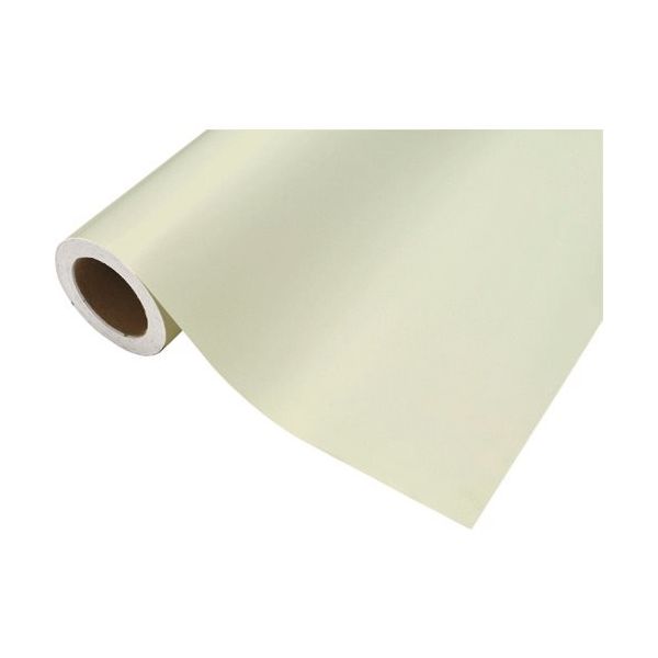 中川ケミカル カッティングシート481サトルグリーン450mm×12M CS045481R 1本 424-9946（直送品）