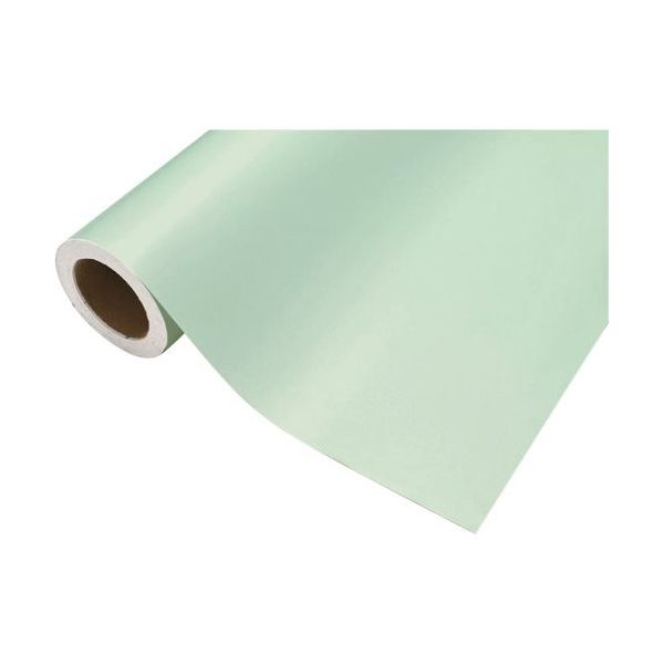 中川ケミカル カッティングシート482ホワイトメロン450mm×12M CS045482R 1本 424-9947（直送品）