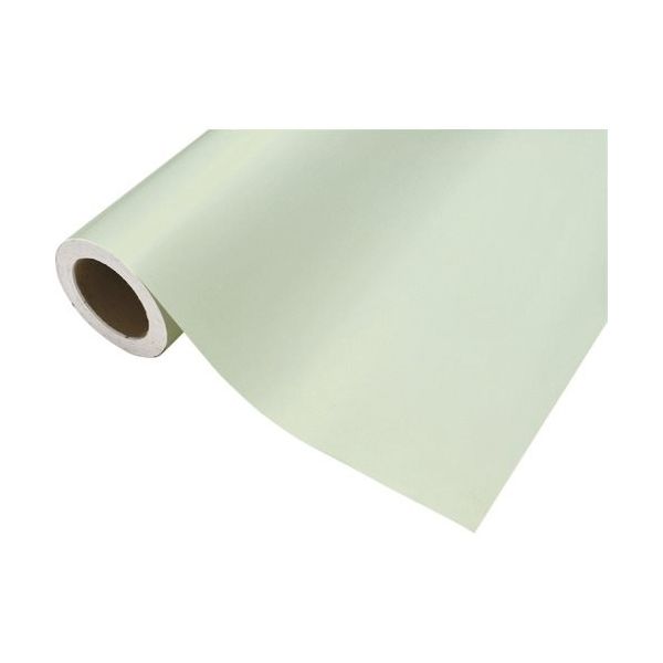 中川ケミカル カッティングシート483セルロイド450mm×12M CS045483R 1本 425-2820（直送品）