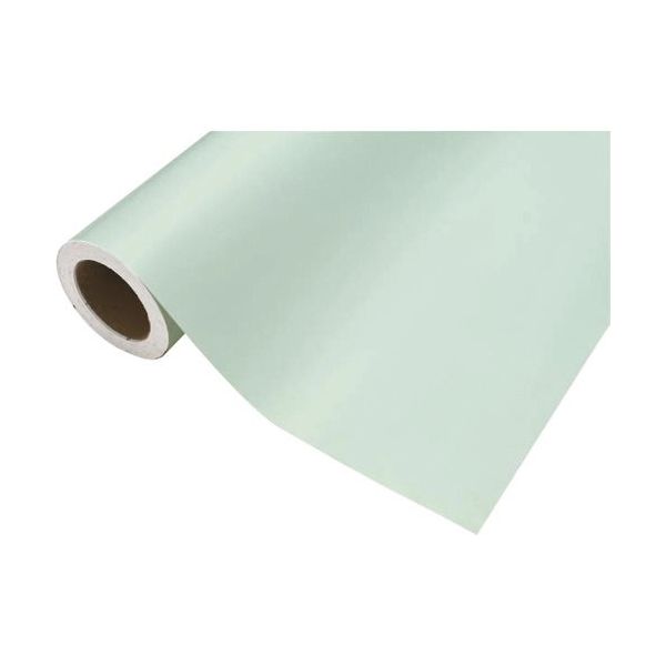 中川ケミカル カッティングシート484ミスティミント450mm×12M CS045484R 1本 424-9805（直送品）