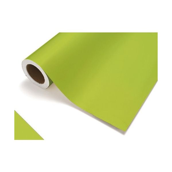 中川ケミカル カッティングシート412スプリンググリーン1010mm×20m CS1010412F 1巻 424-9751（直送品）