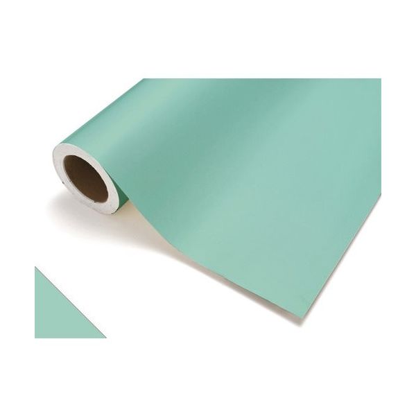 中川ケミカル カッティングシート419ミント1010mm×20m CS1010419F 1巻 425-2638（直送品）