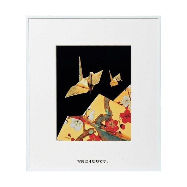 ケンコー・トキナー ケンコー 1250114 アルミ額縁 画廊 A3WHアクリル AGRーA3ーWHーAC 1枚 414-2678（直送品）