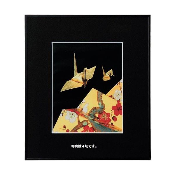 ケンコー・トキナー ケンコー 1250115 アルミ額縁 画廊 A3BKアクリル AGRーA3ーBKーAC 1枚 414-2671（直送品）