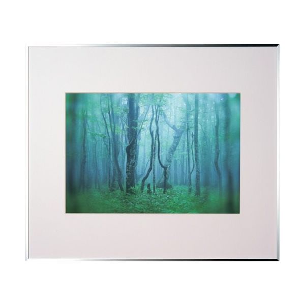 ケンコー・トキナー ケンコー 1250148 アルミ額縁 ギャラリー A3 シルバー AGYーA3ーSV 1枚 414-1021（直送品）