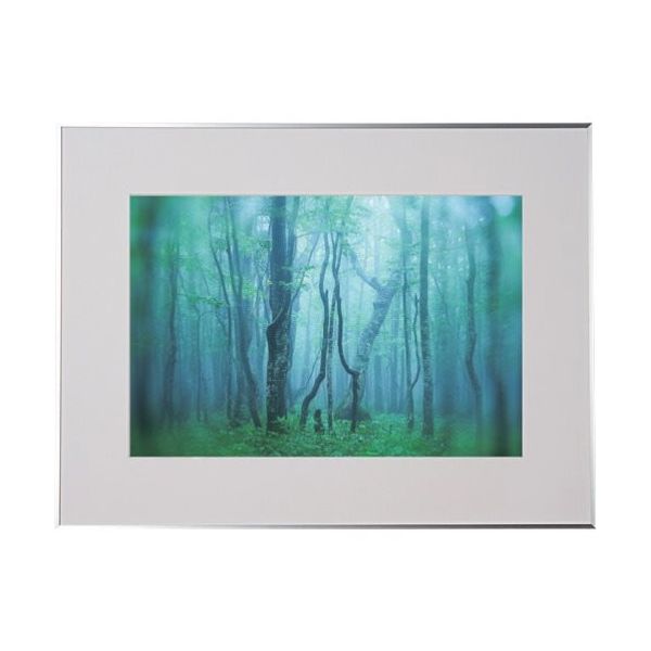 ケンコー・トキナー ケンコー 1250149 アルミ額縁 ギャラリー A3ノビ シルバー AGYーA3NーSV 1枚 414-1028（直送品）