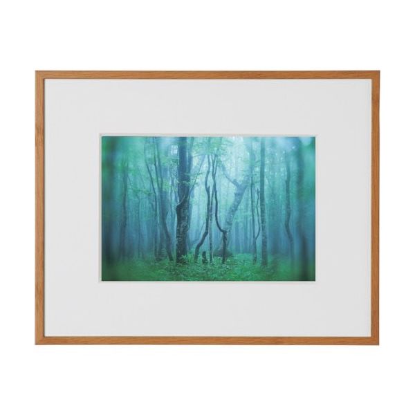 ケンコー・トキナー ケンコー 1250151 アルミ額縁 ギャラリー 2L ナチュラル AGYー2LーNA 1枚 414-1108（直送品）