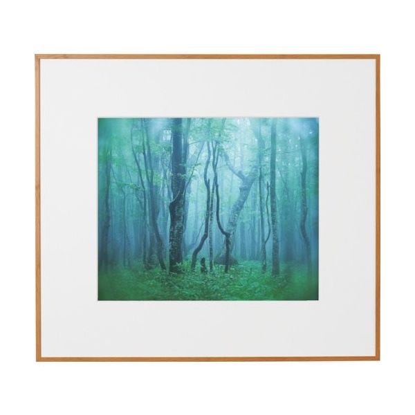 ケンコー・トキナー ケンコー 1250154 アルミ額縁 ギャラリー 4切 ナチュラル AGYー4ーNA 1枚 414-1031（直送品）