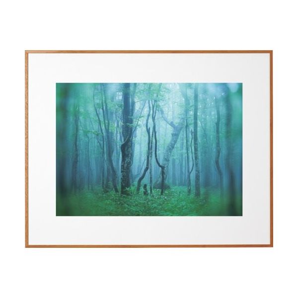 ケンコー・トキナー ケンコー 1250155 アルミ額縁 ギャラリー W4切 ナチュラル AGYーW4ーNA 1枚 414-2692（直送品）