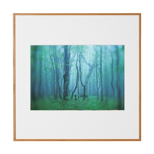 ケンコー・トキナー ケンコー 1250159 アルミ額縁 ギャラリー A4スクエア ナチュラル AGYーA4SQーNA 1枚（直送品）