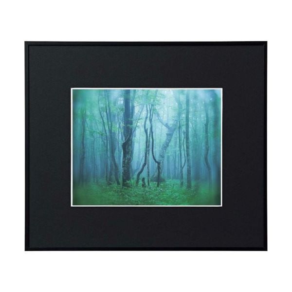 ケンコー・トキナー ケンコー 1250129 アルミ額縁 ギャラリー 6切 ブラック AGYー6ーBK 1枚 414-4182（直送品）