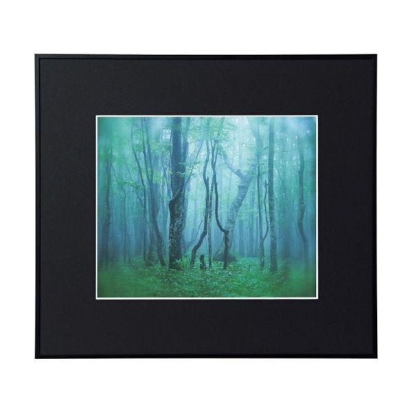 ケンコー・トキナー ケンコー 1250130 アルミ額縁 ギャラリー 4切 ブラック AGYー4ーBK 1枚 414-1087（直送品）