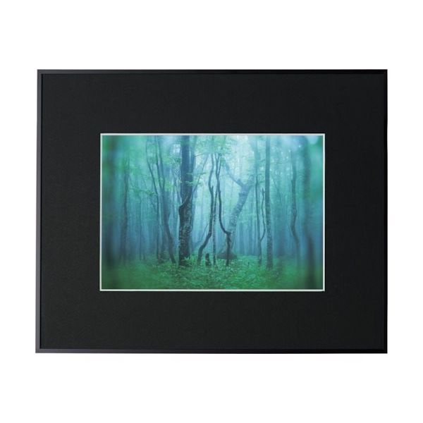 ケンコー・トキナー ケンコー 1250134 アルミ額縁 ギャラリー A4 ブラック AGYーA4ーBK 1枚 414-2629（直送品）