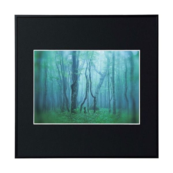 ケンコー・トキナー ケンコー 1250135 アルミ額縁 ギャラリー A4スクエア ブラック AGYーA4SQーBK 1枚 414-1049（直送品）