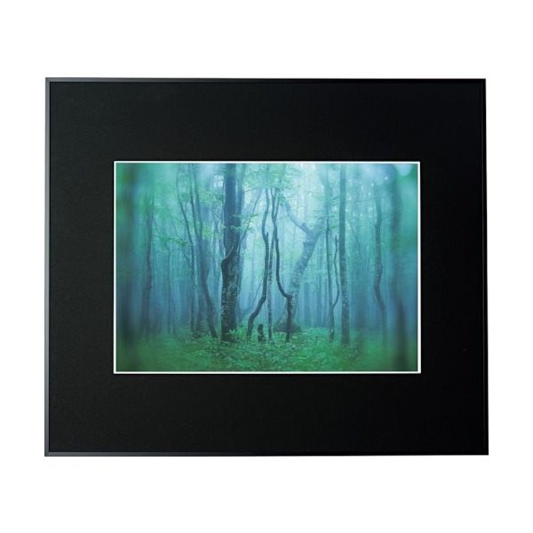 ケンコー・トキナー ケンコー 1250136 アルミ額縁 ギャラリー A3 ブラック AGYーA3ーBK 1枚 414-1097（直送品）