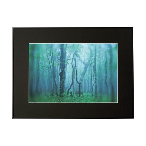 ケンコー・トキナー ケンコー 1250137 アルミ額縁 ギャラリー A3ノビ ブラック AGYーA3NーBK 1枚 414-2597（直送品）