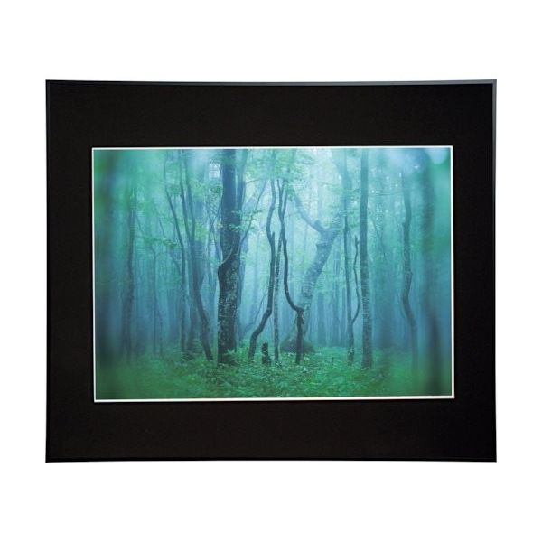 ケンコー・トキナー ケンコー 1250138 アルミ額縁 ギャラリー A2 ブラック AGYーA2ーBK 1枚 414-2581（直送品）