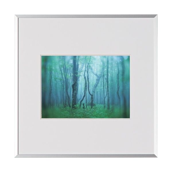 ケンコー・トキナー ケンコー 1250140 アルミ額縁 ギャラリー 2Lスクエア シルバー AGYー2LSQーSV 1枚 414-1072（直送品）