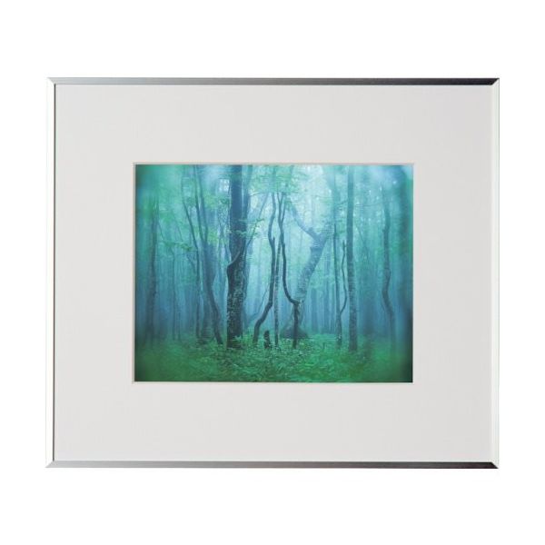 ケンコー・トキナー ケンコー 1250141 アルミ額縁 ギャラリー 6切 シルバー AGYー6ーSV 1枚 414-1106（直送品）