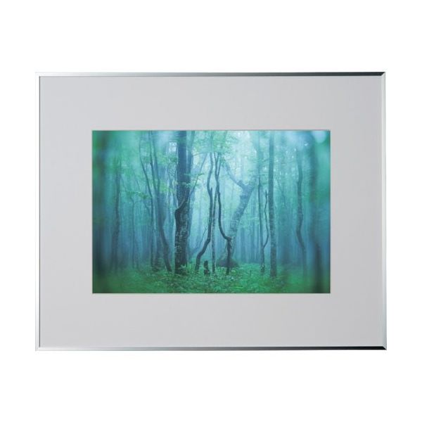 ケンコー・トキナー ケンコー 1250143 アルミ額縁 ギャラリー W4切 シルバー AGYーW4ーSV 1枚 414-1080（直送品）